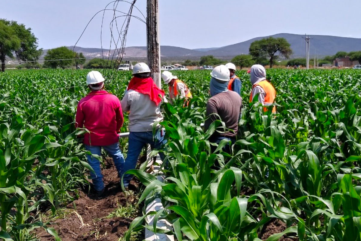 Planeación y construcción del sistema eléctrico en contingencias para CFE