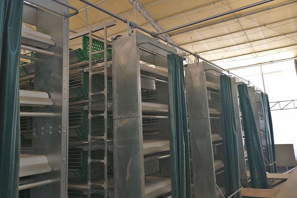 Proveedor de Ingeniería Eléctrica para Granjas Avícolas